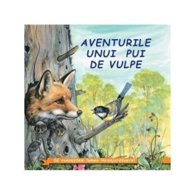 Aventurile unui pui de vulpe - Sa cunoastem lumea inconjuratoare!