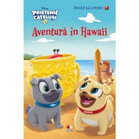Prietenii catelusi. Aventura in Hawaii. Invat sa citesc (nivelul 1) - Disney