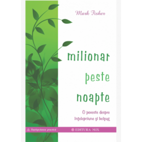 Milionar peste noapte. O poveste despre intelepciune si belsug - Mark Fisher