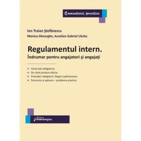 Regulamentul intern. Indrumar pentru angajatori si angajati - Ion Traian Stefanescu, Monica Gheorgh, Aurelian Gabriel Uluitu