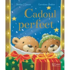Cadoul perfect - Stella J. Jones