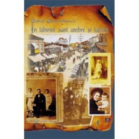 In labirint sunt umbre si lumini - Codrut Constantinescu