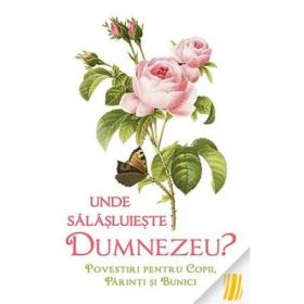 Unde salasluieste Dumnezeu. Povestiri pentru copii, parinti si bunici - LS Desartovici, Ilustratii Olga Bersan