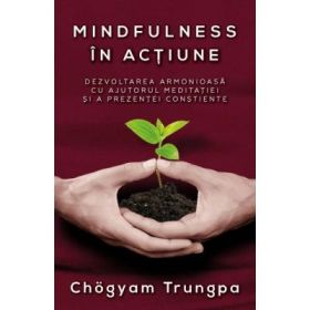 Mindfulness in actiune. Dezvoltarea armonioasa cu ajutorul meditatiei si a prezentei constiente - Chogyam Trungpa