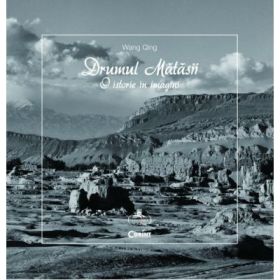 Drumul matasii. O istorie in imagini - Wang Qing