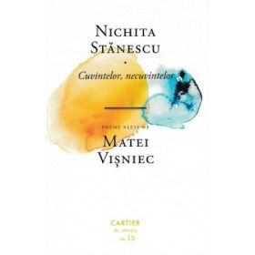 Cuvintelor, necuvintelor - Nichita Stanescu