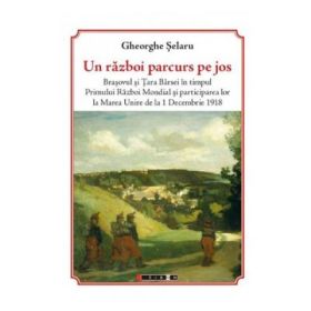 Un razboi parcurs pe jos - Gheorghe Selaru