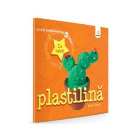 Arta si indemanare in 5 pasi - Plastilina - Anna Llimos