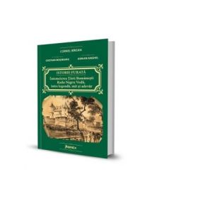 Istorie furata. Intemeierea Tarii Romanesti. Radu Negru Voda, intre legenda, mit si adevar - Cornel Birsan, Cristian Mosneanu, Adrian Anghel