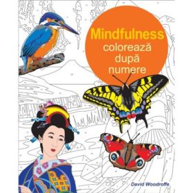 Coloreaza dupa numere. Mindfulness - David Woodroffe