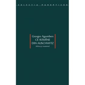 Ce ramine din Auschwitz - Giorgio Agamben
