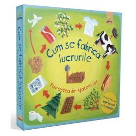 Cum se fabrica lucrurile - Christiane Dorion