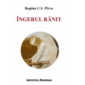 Ingerul ranit - Bogdan C. S. Pirvu