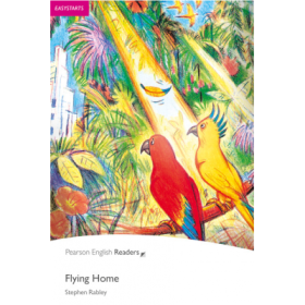 Flying Home - Stephen Rabley
