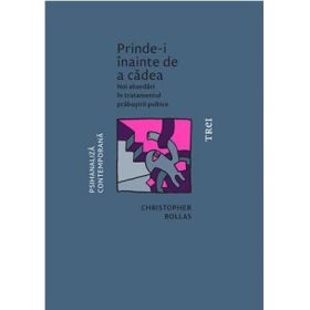 Prinde-i inainte de a cadea. Noi abordari in tratamentul prabusirii psihice - Christopher Bollas