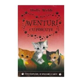Aventuri cu pisicute - Holly Webb