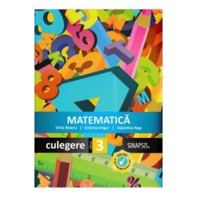 Matematica. Culegere pentru clasa a 3-a - Delia Boieru