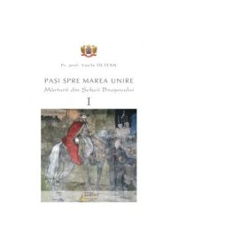 Pasi spre Marea Unire. Marturii din Scheii Brasovului. Volumul 1 - Vasile Oltean
