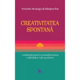 Creativitatea spontana - Tenzin Wangyal Rinpoche
