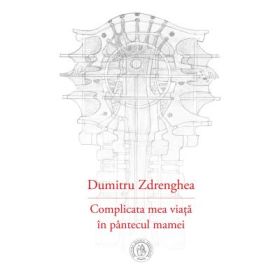 Complicata mea viata in pantecul mamei - Dumitru Zdrenghea