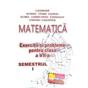 Matematica, exercitii si probleme pentru clasa a 7-a, semestrul 1 - Delia Schneider