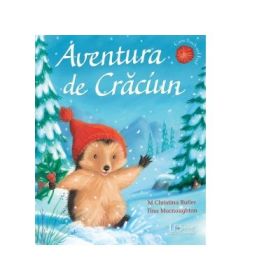 Aventura de Craciun - M Christina Butler