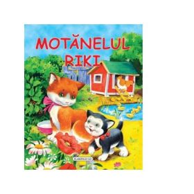 Motanelul Riki - WILGA