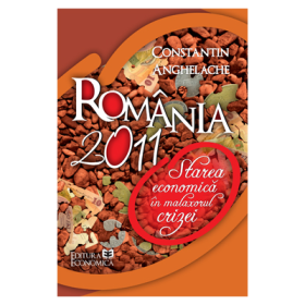 Romania 2011: starea economica in malaxorul crizei - Constantin Anghelache