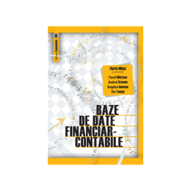 Baze de date financiar-contabile - Florin Mihai, Pavel Nastase, Andrei Stanciu, Bogdan Ionescu, Ilie Tamas