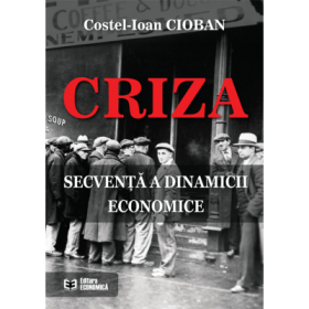 Criza, secventa a dinamicii economice - Costel-Ioan Cioban
