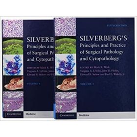 Silverberg's Principles and Practice of Surgical Pathology and Cytopathology 4 Volume Set with Online Access - Mark R. Wick, Virginia A. LiVolsi, John D. Pfeifer,