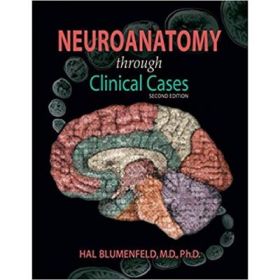 Neuroanatomy through Clinical Cases - Hal Blumenfeld