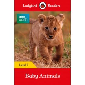 BBC Earth Baby Animals
