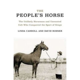 Out of the Clouds: The Unlikely Horseman and the Unwanted Colt Who Conquered the Sport of Kings - Linda Carroll, David Rosner