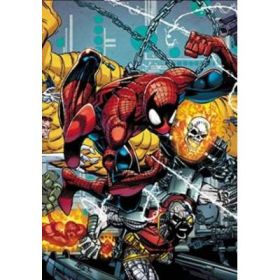 Spider-man By David Michelinie And Erik Larsen Omnibus - David Michelinie, Jim Owsley