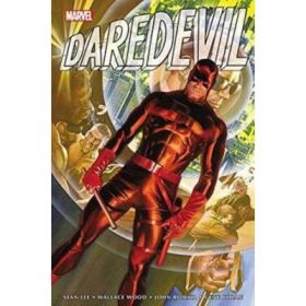 Daredevil Omnibus Vol. 1 - Stan Lee, Dennis O'Neil