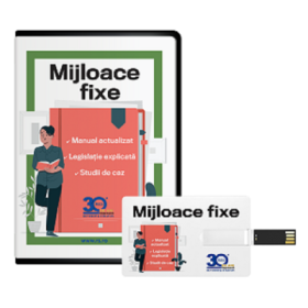 Mijloace fixe 2025