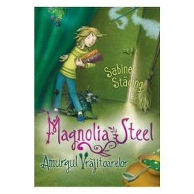 Magnolia Steel. Amurgul vrajitoarelor - Sabine Stading