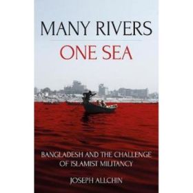 Many Rivers, One Sea - Joseph Allchin