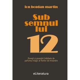 Sub semnul lui 12 - Ion Bogdan Martin
