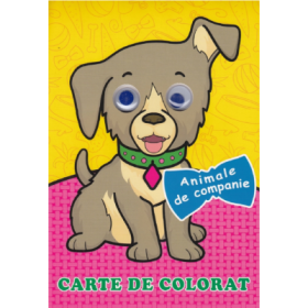 Animale de companie. Carte de colorat