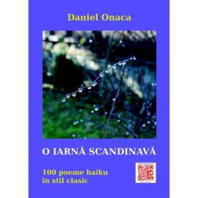 O iarna scandinava. Haikuuri - Daniel Onaca