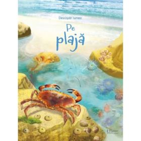Pe plaja - Usborne Books