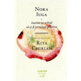 Inainte ca ochiul sa-si fi terminat privirea - Nora Iuga
