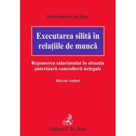 Executarea silita in relatiile de munca. Repunerea salariatului in situatia anterioara concedierii nelegale - Razvan Anghel