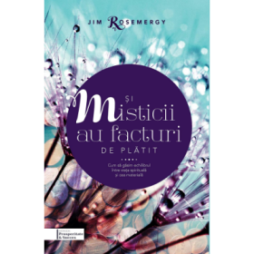 Si misticii au facturi de platit - Jim Rosemergy