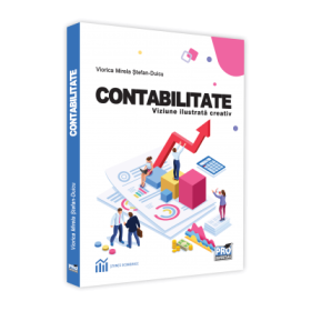 Contabilitate. Viziune ilustrata creativ - Viorica-Mirela Stefan-Duicu