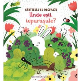 Unde esti, iepurasule? (Usborne) - Usborne Books