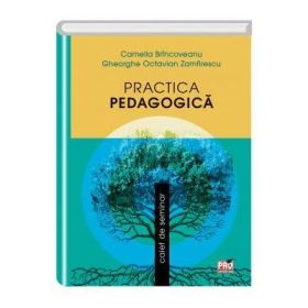 Practica pedagogica. Caiet de seminar - Camelia Brincoveanu, Gheorghe Octavian Zamfirescu