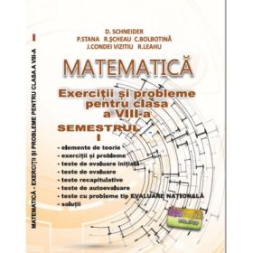 Matematica. Exercitii si probleme pentru clasa a 8-a semestrul 1 - Delia Schneider